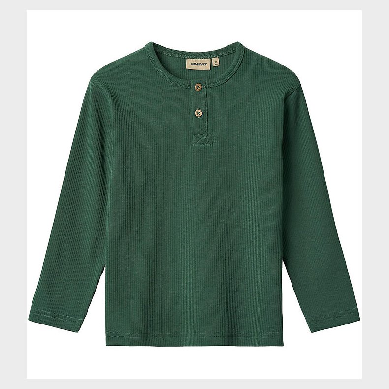 Wheat Bluse - Rib - Morris - Green Tea