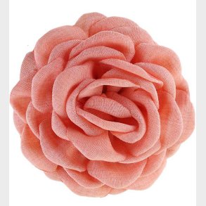 By Str Hrklemme - Daisy - Lille - Fersken