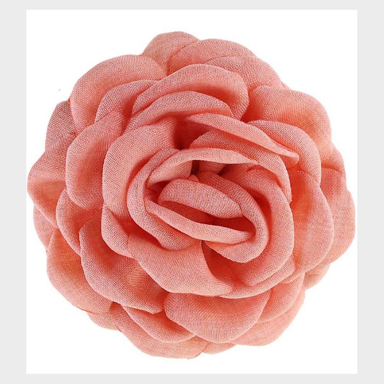 By Str Hrklemme - Daisy - Lille - Fersken