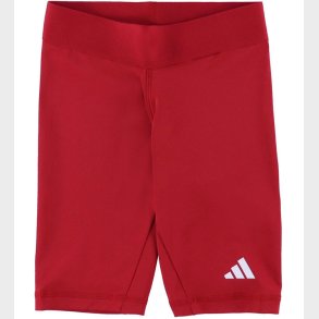 adidas Performance Shorts - TF SHRT Tight Y - Tepore