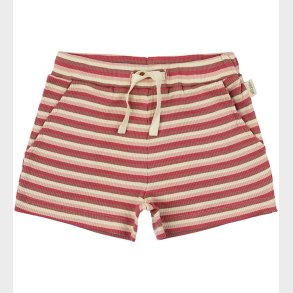 Petit Piao Shorts - Rib - Modal - Light Berry Multi Stripe