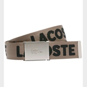 Lacoste Blte - Jaquard Webbing - Morel Noir