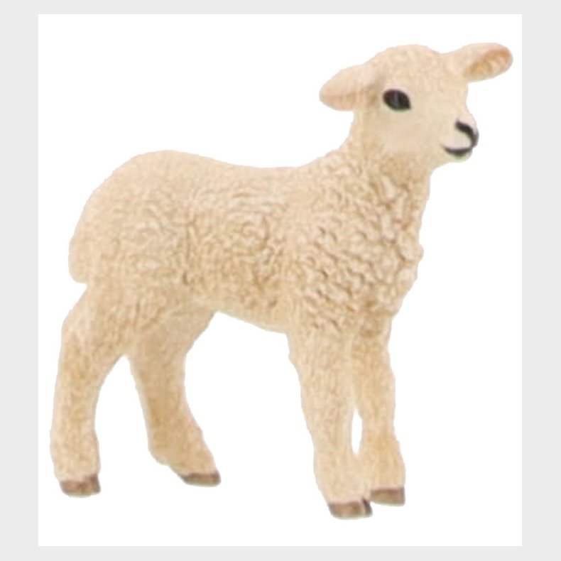 Schleich Farm World - Lam - 5 cm - 13883
