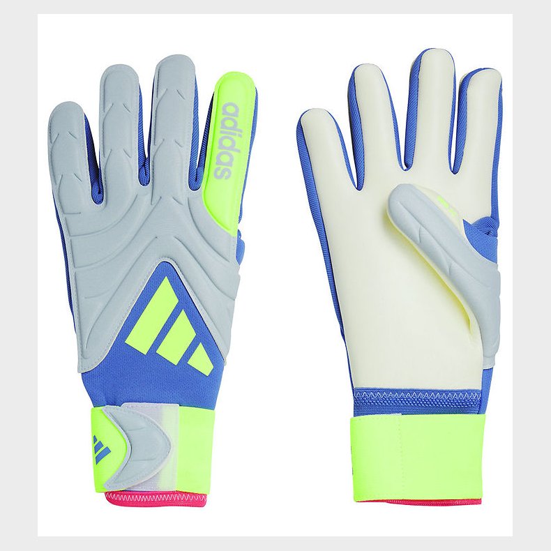 adidas Performance Mlmandshandsker - COPA GL LGE - BLUFUS/HALBL