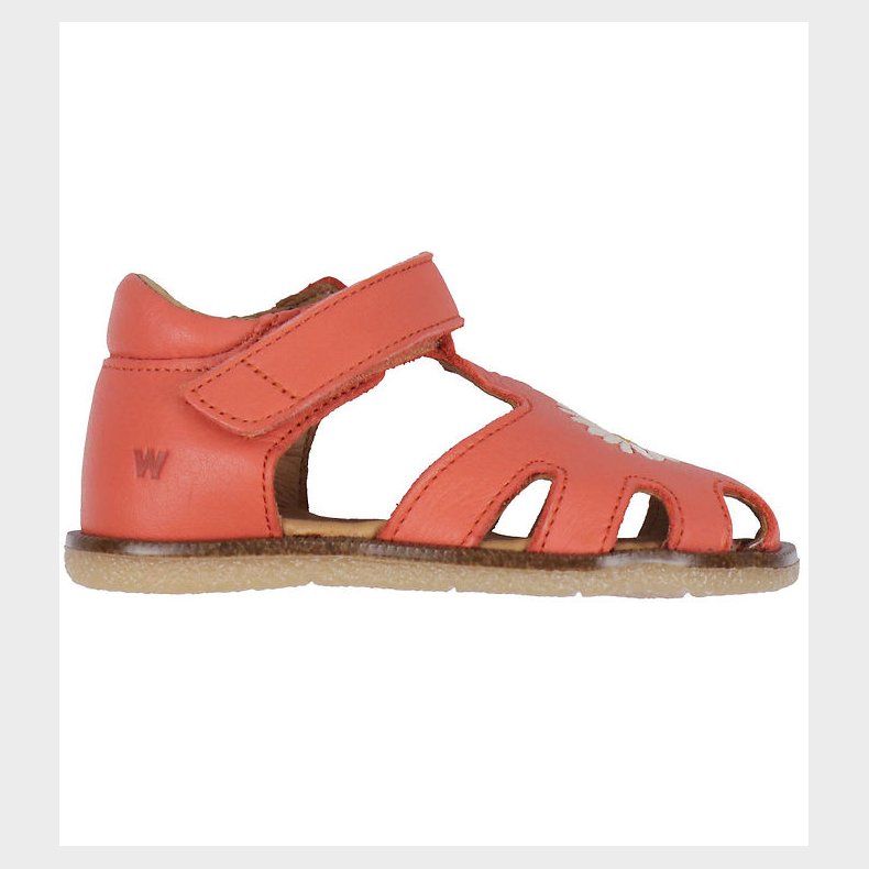 Wheat Sandaler - Lowe - Coral