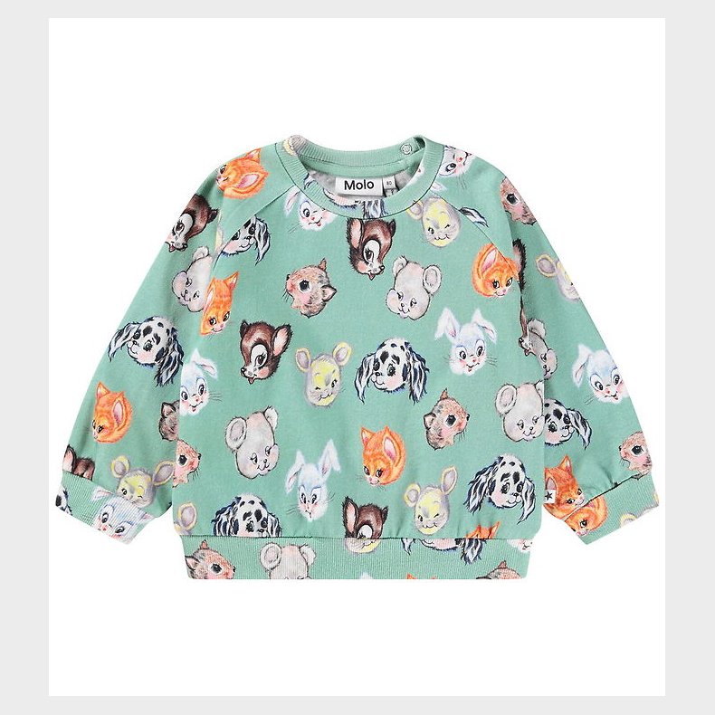 Molo Sweatshirt - Disc - Itty Bitty