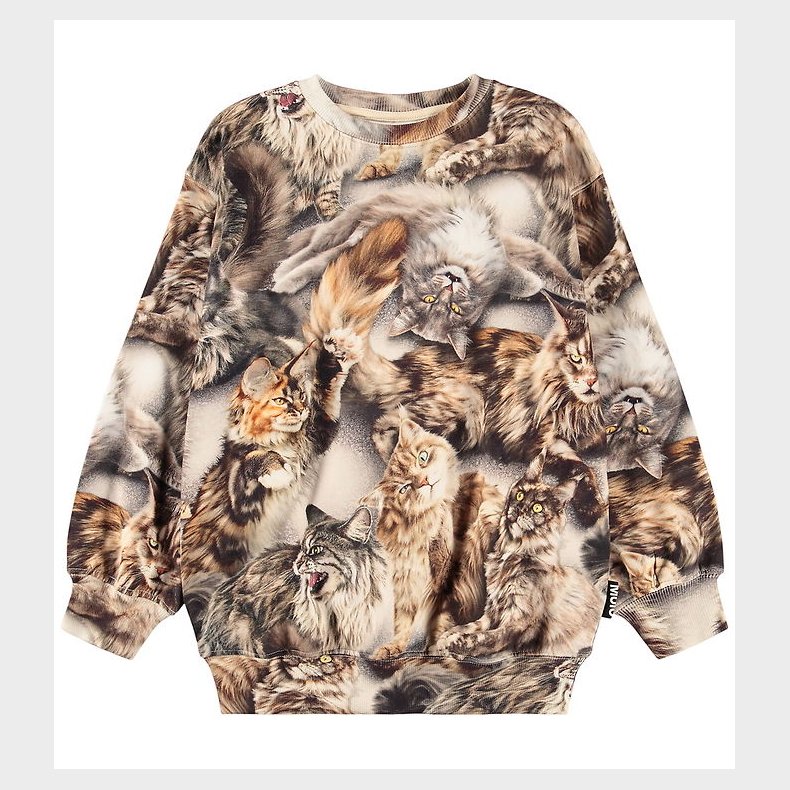 Molo Sweatshirt - Monti - Cattitudes