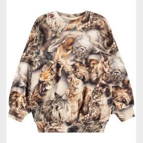 Molo Sweatshirt - Monti - Cattitudes