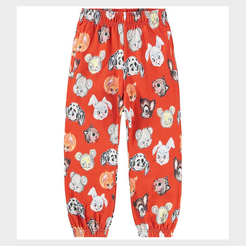 Molo Sweatpants - Adan - Rising Sun