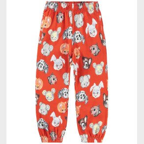 Molo Sweatpants - Adan - Rising Sun