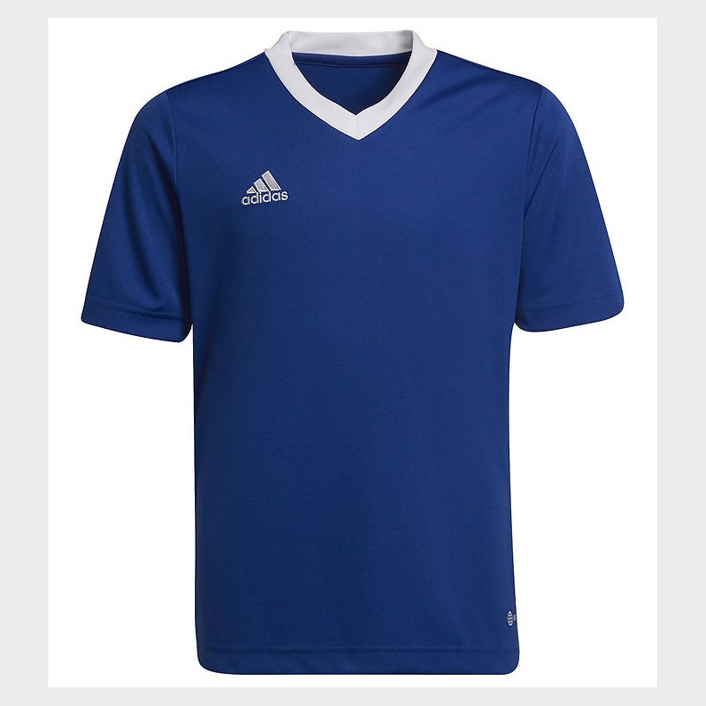 adidas Performance T-shirt - ENT22 - Royblu