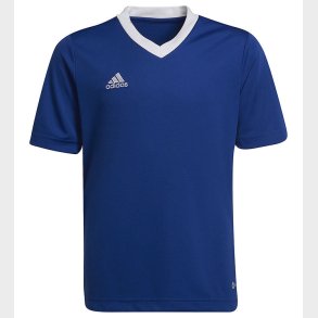adidas Performance T-shirt - ENT22 - Royblu