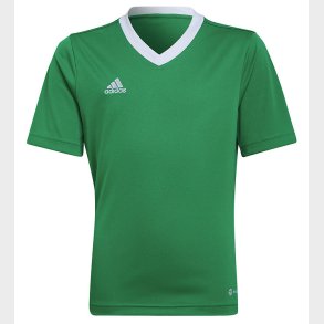 adidas Performance T-shirt - ENT22 - Teagrn/White