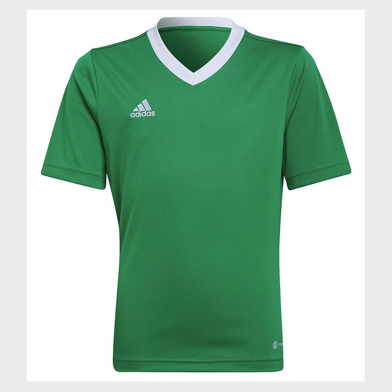 adidas Performance T-shirt - ENT22 - Teagrn/White