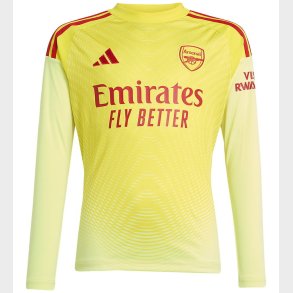 adidas Performance Fodboldtr�je - AFC H GK - PULYEL/TEPORE