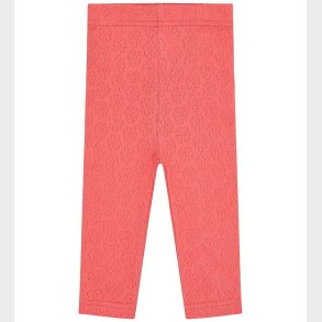 Hust and Claire Leggings - Lisa Pointelle Flower - Wild Coral