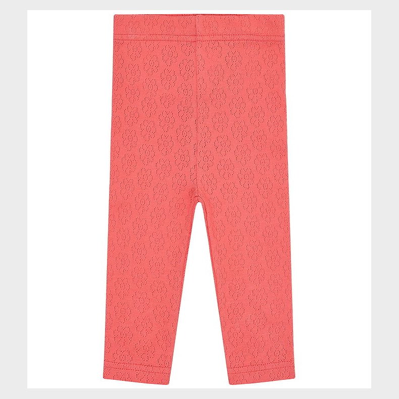 Hust and Claire Leggings - Lisa Pointelle Flower - Wild Coral