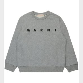 Marni Sweatshirt - Cool Grey Melange