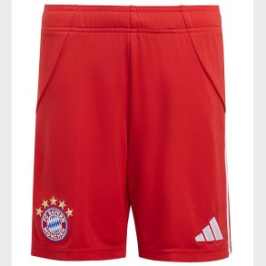 adidas Performance Shorts - FCB H - Red