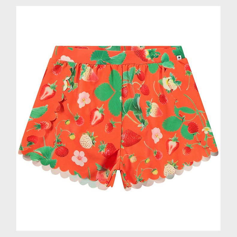 Molo Badeshorts - UV50+ - Neva - Strawberry Red