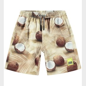 Molo Badeshorts - UV50+ - Nilson - Coconuts