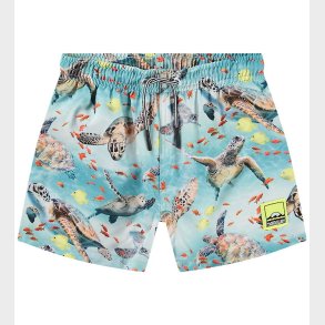 Molo Badeshorts - UV50+ - Niko - Marine Turtles