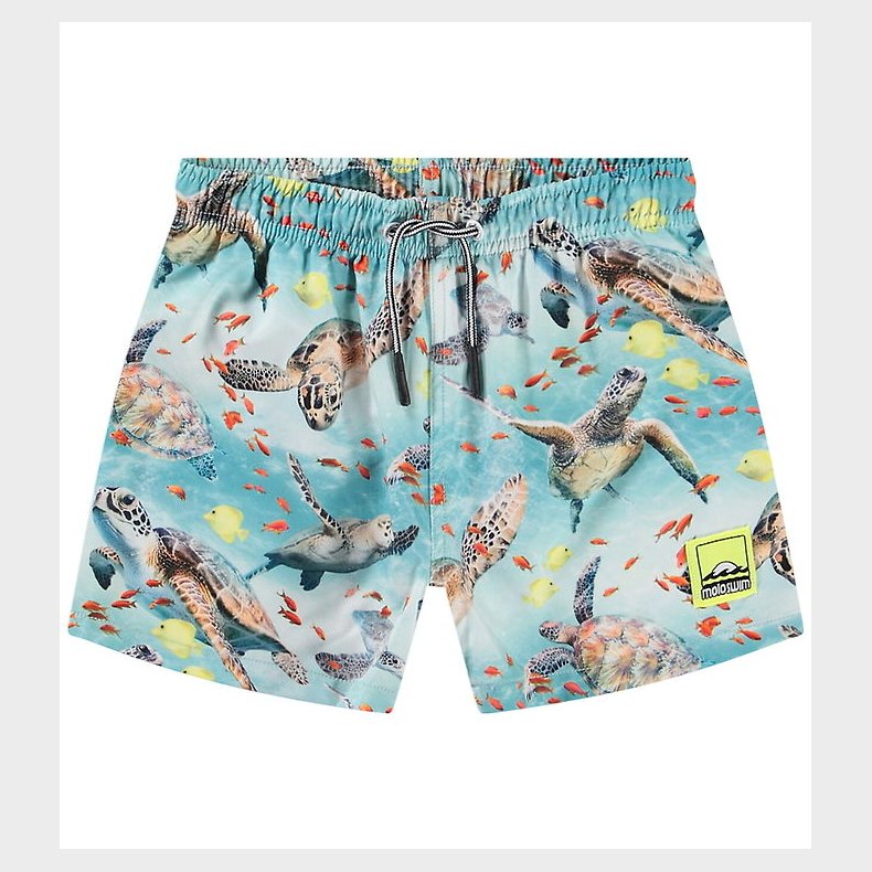 Molo Badeshorts - UV50+ - Niko - Marine Turtles