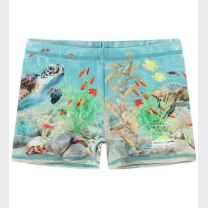 Molo Badebukser - UV50+ - Norton Placed - Happy Ocean