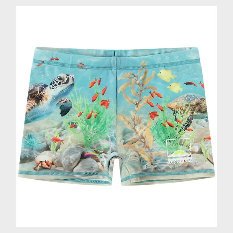 Molo Badebukser - UV50+ - Norton Placed - Happy Ocean