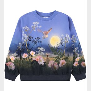 Molo Sweatshirt - Maxi - Magic Moonrise