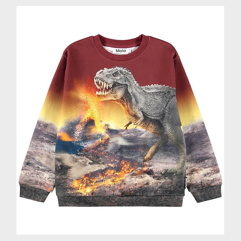 Molo Bluse - Miksi - Dino Landscape