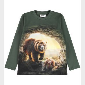 Molo Bluse - Reif - Bears in Cave