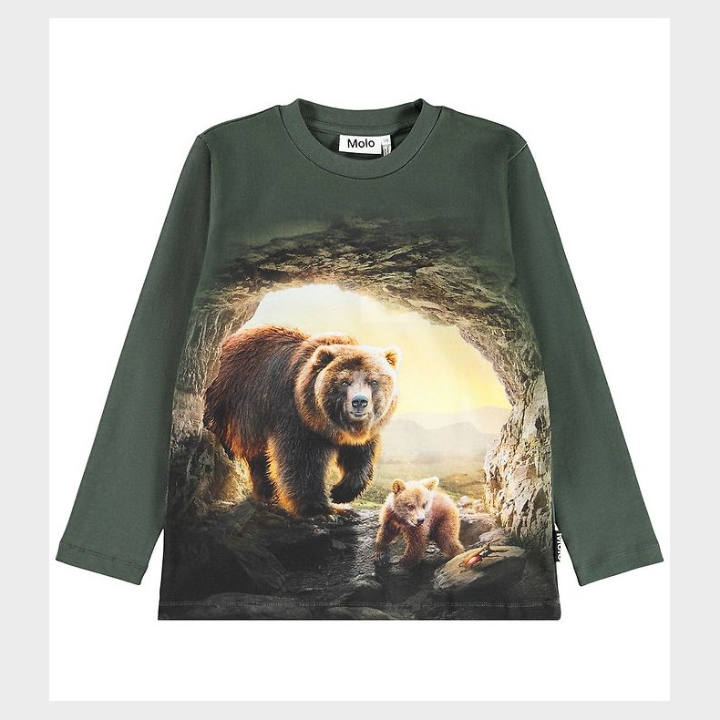 Molo Bluse - Reif - Bears in Cave