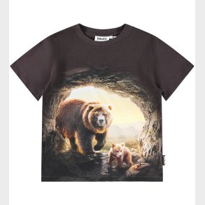 Molo Bluse - Riley - Cave Bears
