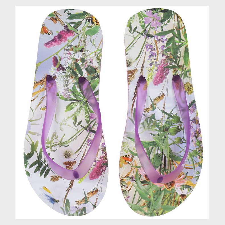 Molo Badesandaler - Zeppo - Wild Nature