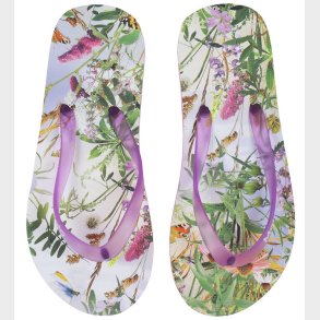 Molo Badesandaler - Zeppo - Wild Nature