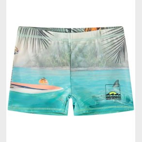 Molo Badebukser - UV50+ - Norton Placed - Leo On Surf