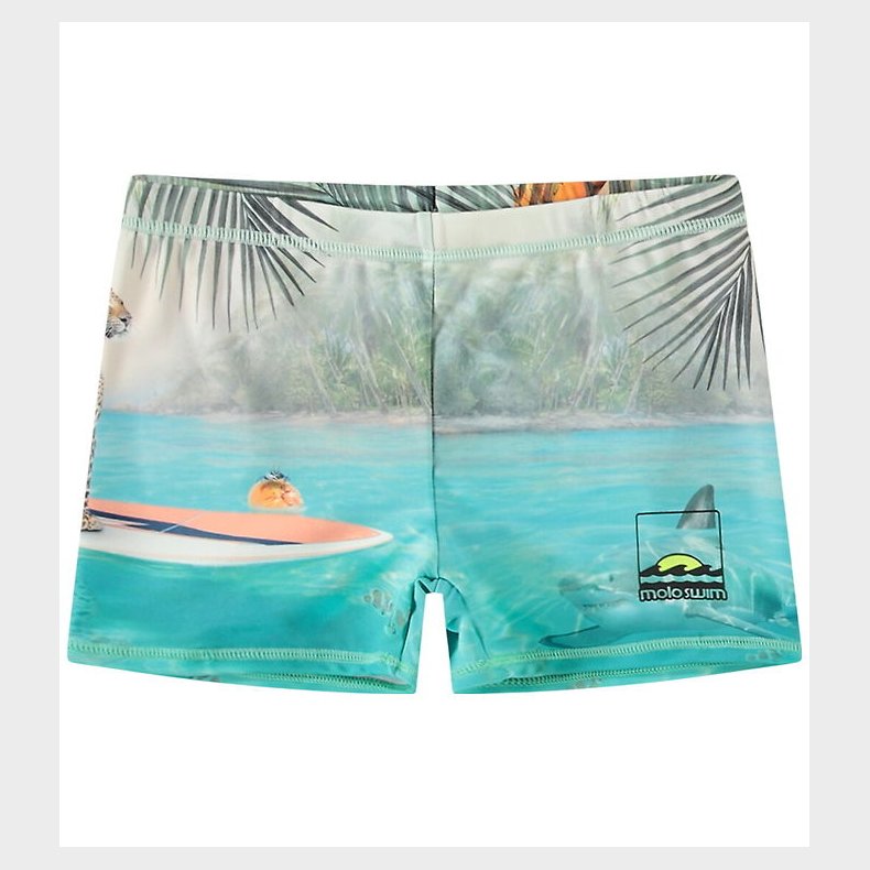 Molo Badebukser - UV50+ - Norton Placed - Leo On Surf