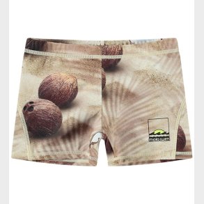 Molo Badebukser - UV50+ - Norton - Coconuts