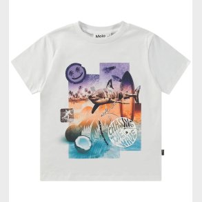 Molo T-shirt - Rame - Collage Surf