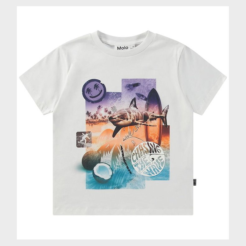 Molo T-shirt - Rame - Collage Surf