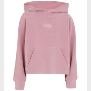 Emporio Armani Httetrje - Lilas