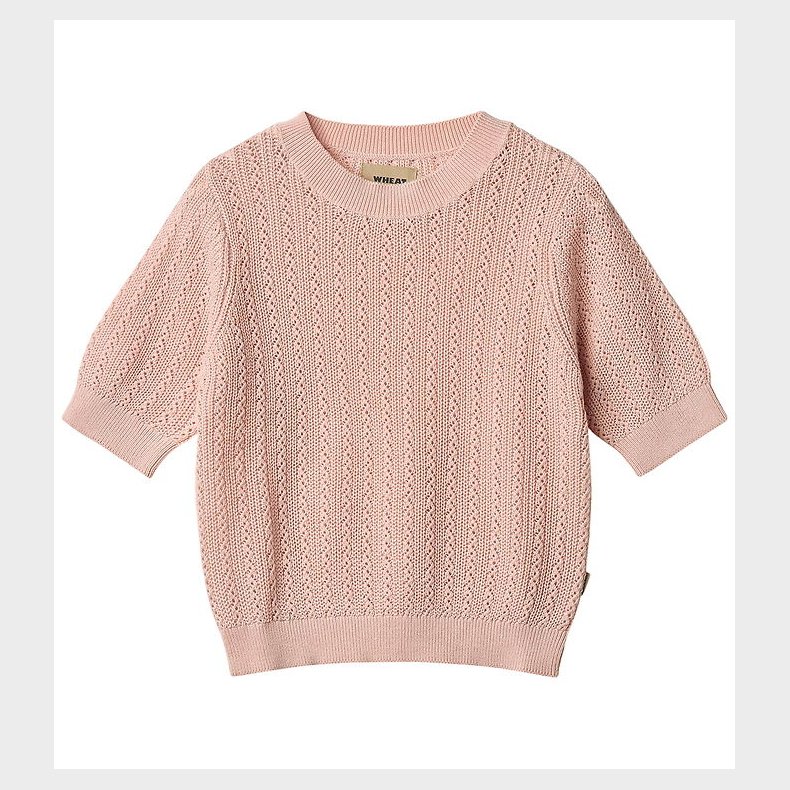 Wheat T-shirt - Strik - Alva - Powder