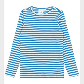 The New Bluse - Rib - TnMoore - Campanula Striped