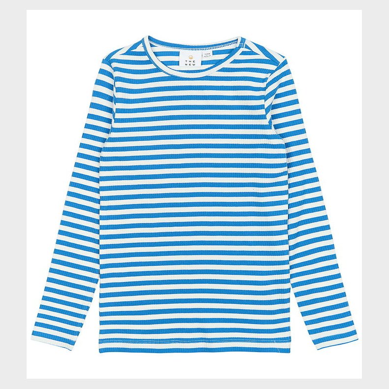 The New Bluse - Rib - TnMoore - Campanula Striped