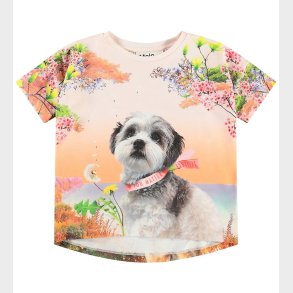 Molo T-shirt - Raeesa - Festivalgoers