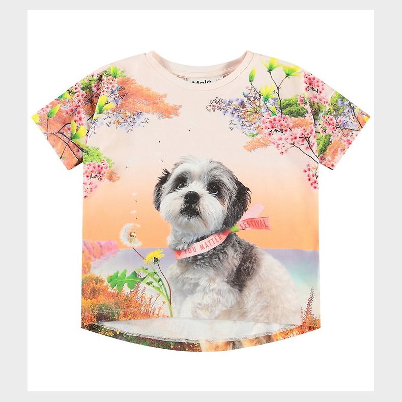 Molo T-shirt - Raeesa - Festivalgoers