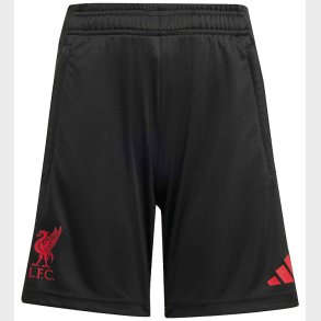 adidas Performance Shorts - Liverpool - Sort