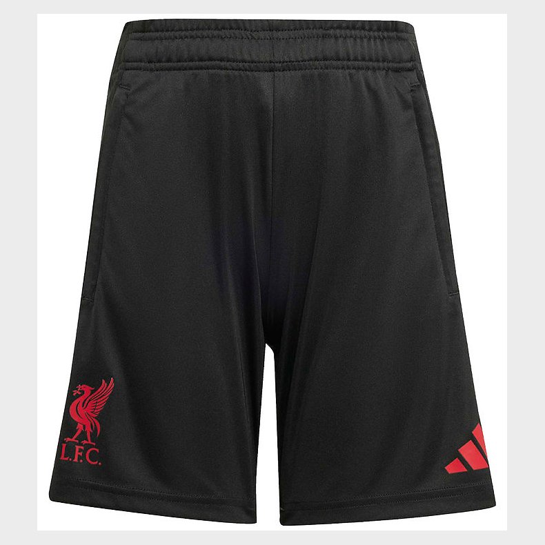 adidas Performance Shorts - Liverpool - Sort