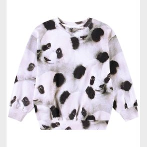 Molo Sweatshirt - Monti - Giant Panda